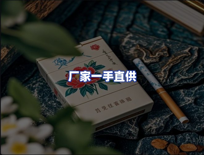 专业团队